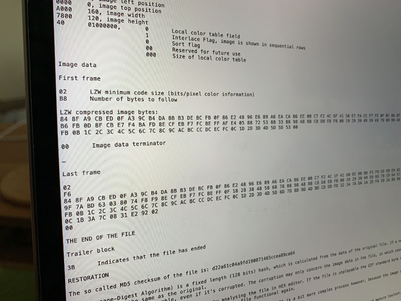 An image of Janne Särkelä's computer screen taken during the ASLAP documentation project.